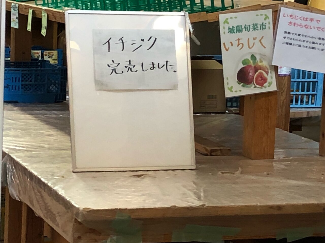 旬菜市イチジク完売