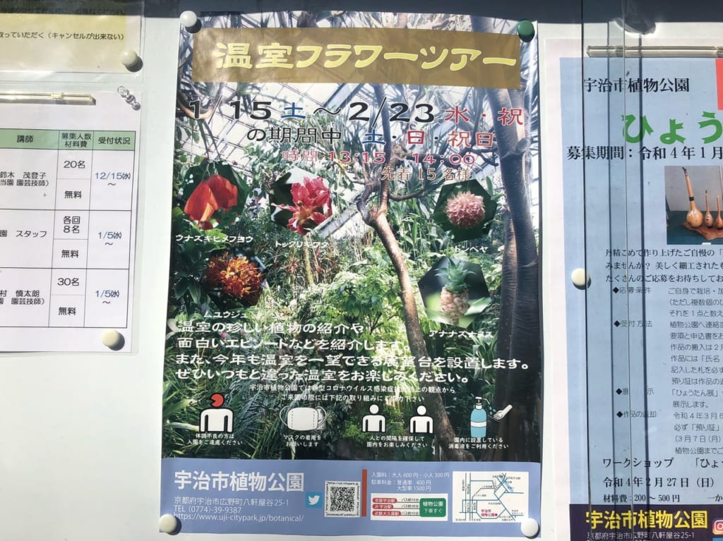 宇治市植物公園温室フラワーツアー