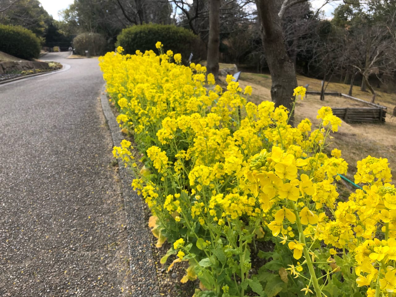 宇治市植物公園