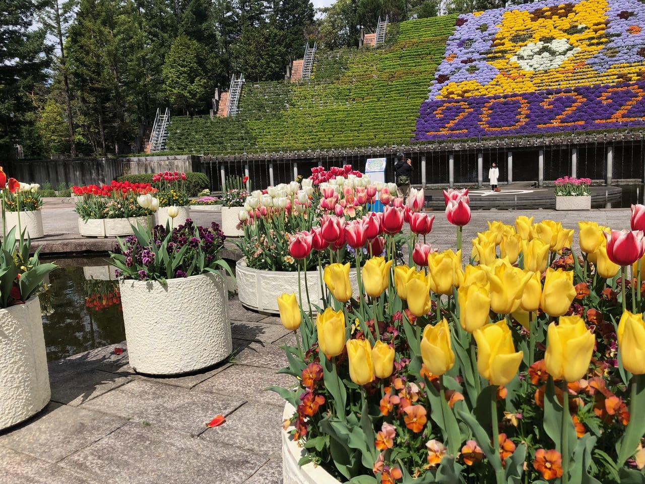 植物公園