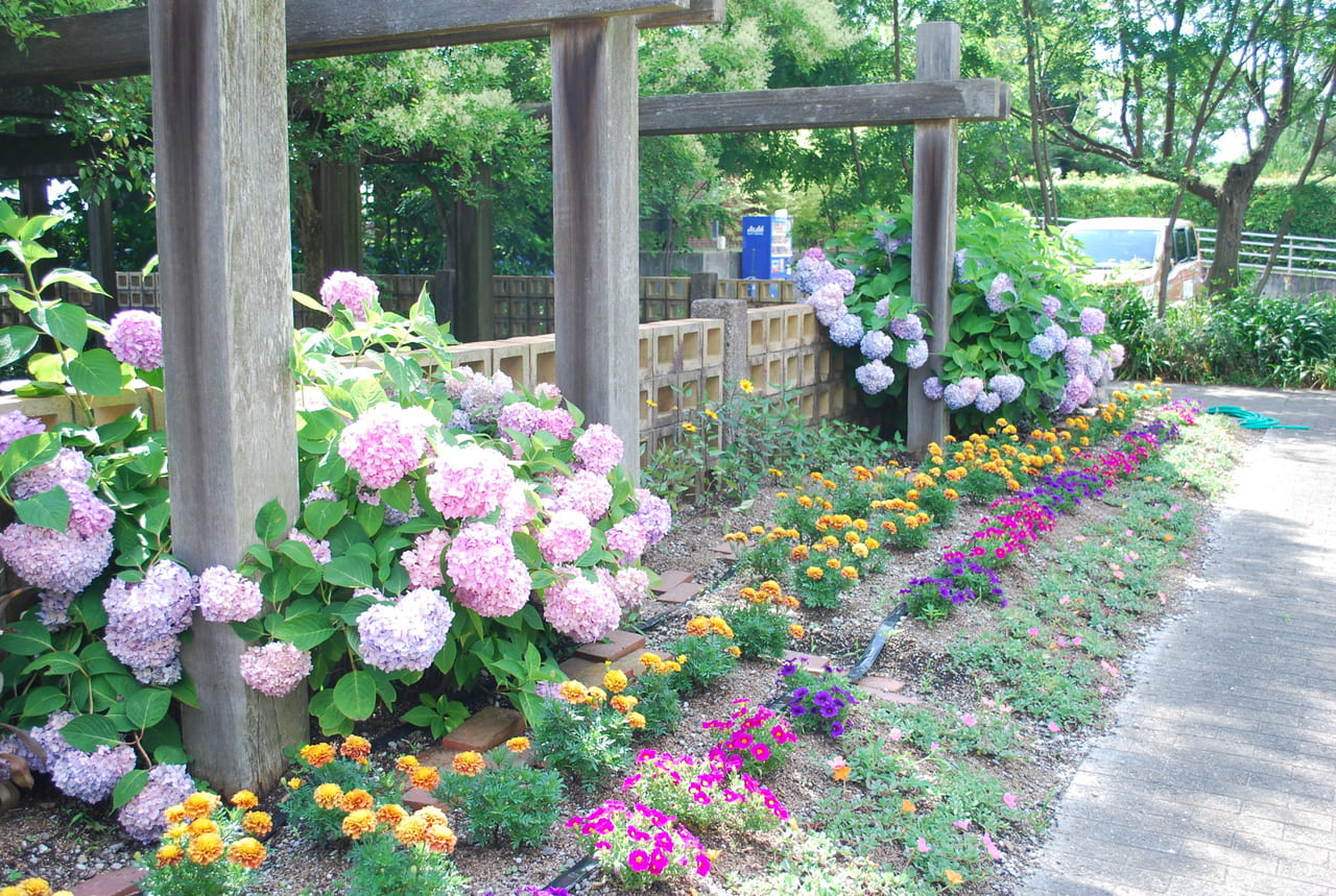 宇治市植物公園20220623　駐車場