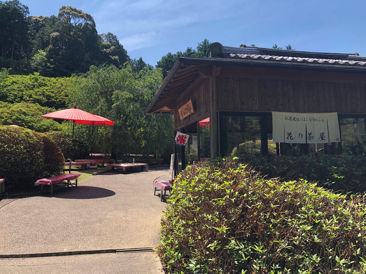 三室戸寺　あじさい園