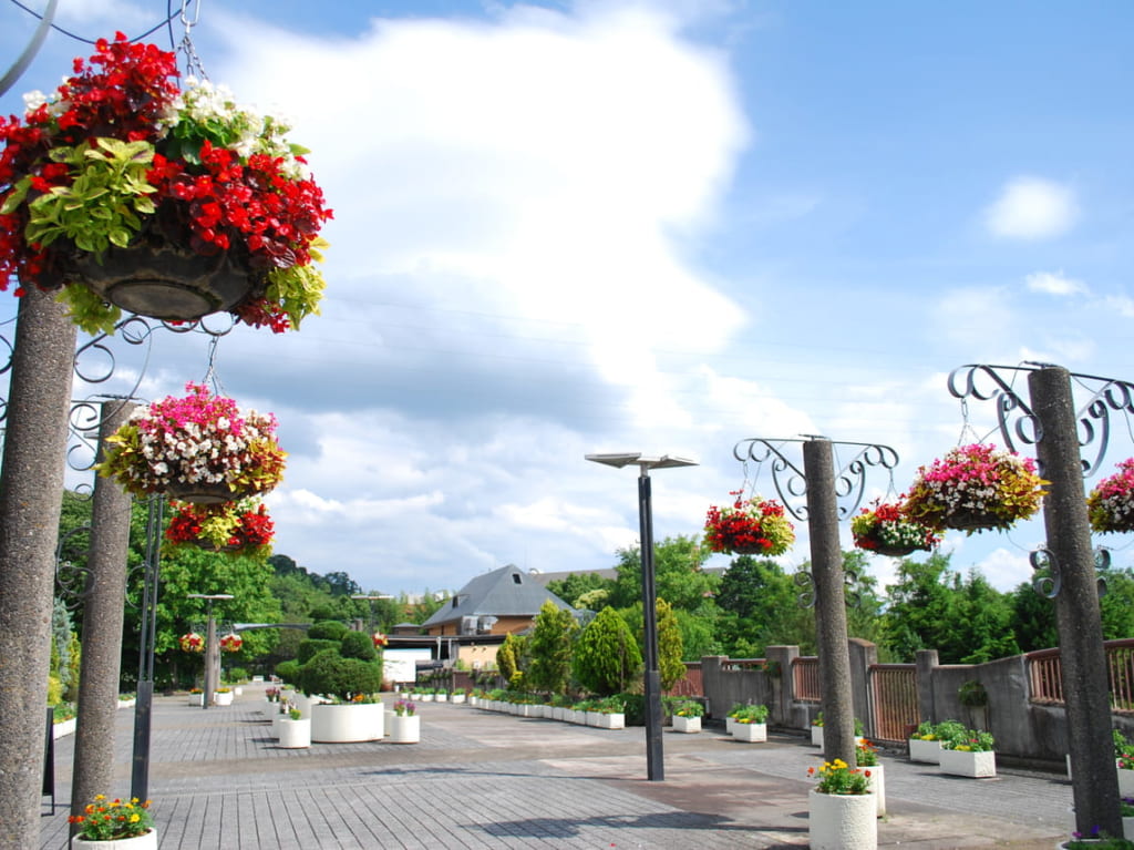 宇治市植物公園20220623撮影